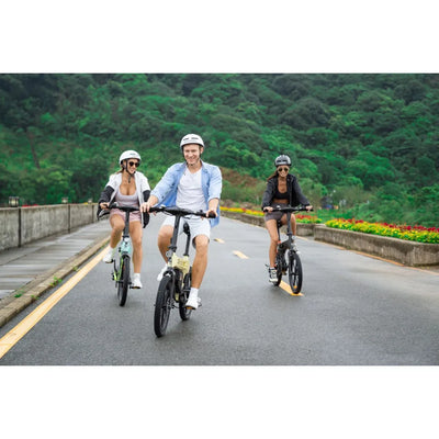 Zectron ebike